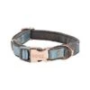 Rogz - Collier Urban Turquoise Pour Chiens - XS 2 Rogz - Collier Urban Turquoise Pour Chiens - XS -Magasin De Fournitures Pour Chiens De Compagnie 75782
