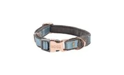 Rogz - Collier Urban Turquoise Pour Chiens - XS