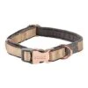 Rogz - Collier Urban Or Pour Chiens - S -Magasin De Fournitures Pour Chiens De Compagnie 75784