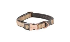 Rogz - Collier Urban Or Pour Chiens - S