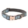 Rogz - Collier Urban Turquoise Pour Chiens - S -Magasin De Fournitures Pour Chiens De Compagnie 75787