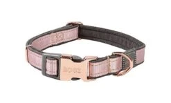 Rogz - Collier Urban Rose Pour Chiens - M