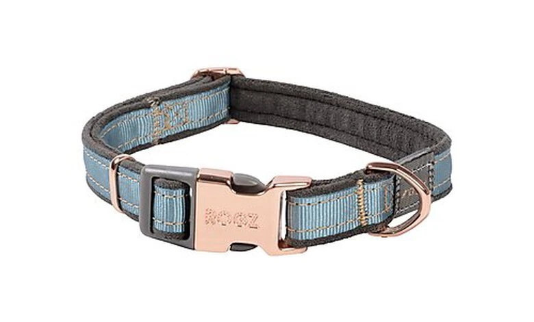 Rogz - Collier Urban Turquoise Pour Chiens - M 3 Rogz - Collier Urban Turquoise Pour Chiens - M