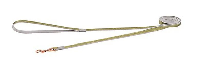 Rogz - Laisse Urban Olive Pour Chiens - S 3 Rogz - Laisse Urban Olive Pour Chiens - S