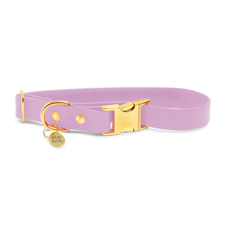 Pop Dog - Collier Précieux Violet Pour Chien - S 4 Pop Dog - Collier Précieux Violet Pour Chien - S – Image 2