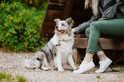 Tickless - Médaillon Ecopet Antiparasitaire Ultrason Pour Chiens Et Chats - 3,8cm 11 Tickless - Médaillon Ecopet Antiparasitaire Ultrason Pour Chiens Et Chats - 3,8cm -Magasin De Fournitures Pour Chiens De Compagnie 76336