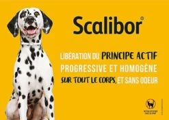 Scalibor - Collier Antiparasitaire Pour Chien -Magasin De Fournitures Pour Chiens De Compagnie 76363