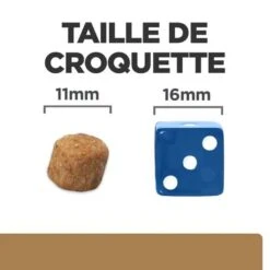 Hill's - Croquettes Prescription Diet J/D Mobility Pour Chiens - 12Kg -Magasin De Fournitures Pour Chiens De Compagnie 76534