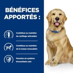 Hill's - Croquettes Prescription Diet J/D Mobility Pour Chiens - 12Kg -Magasin De Fournitures Pour Chiens De Compagnie 76535
