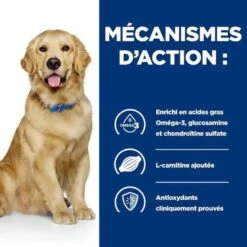 Hill's - Croquettes Prescription Diet J/D Mobility Pour Chiens - 12Kg -Magasin De Fournitures Pour Chiens De Compagnie 76538
